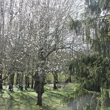 Rés. Les Frugères ****